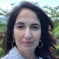 ALICE SAIDELES GENRO: Fonoaudiologia online que atende Pessoas com Deficiência.