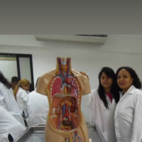 ANDRÉA MENDES: Psicopedagogia em Rio de Janeiro que atende Pessoas com Deficiência